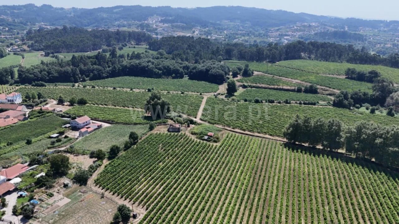 Terreno para Venda em Caide de Rei Foto 6