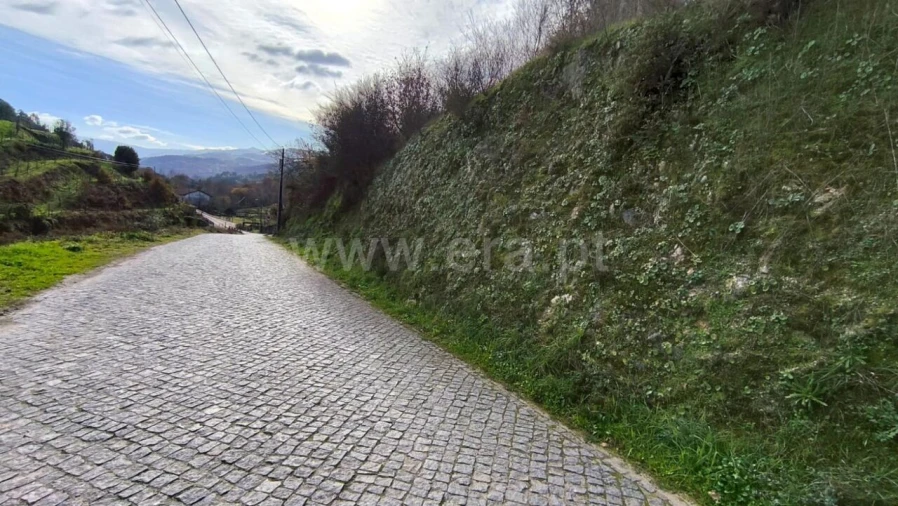 Terreno para Venda em Penhalonga e Paços de Gaiolo Foto 6