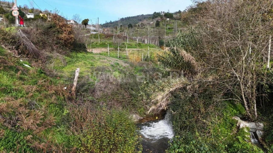 Terreno para Venda em Penhalonga e Paços de Gaiolo Foto 9