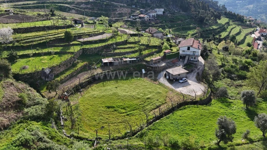 Quinta T3 para Venda em Penhalonga e Paços de Gaiolo Foto 19