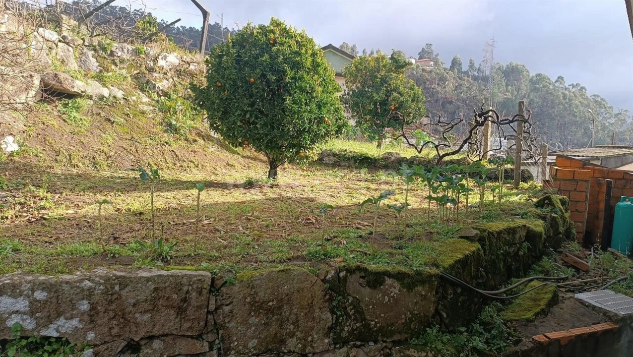 Quinta T3 para Venda em Penhalonga e Paços de Gaiolo Foto 14