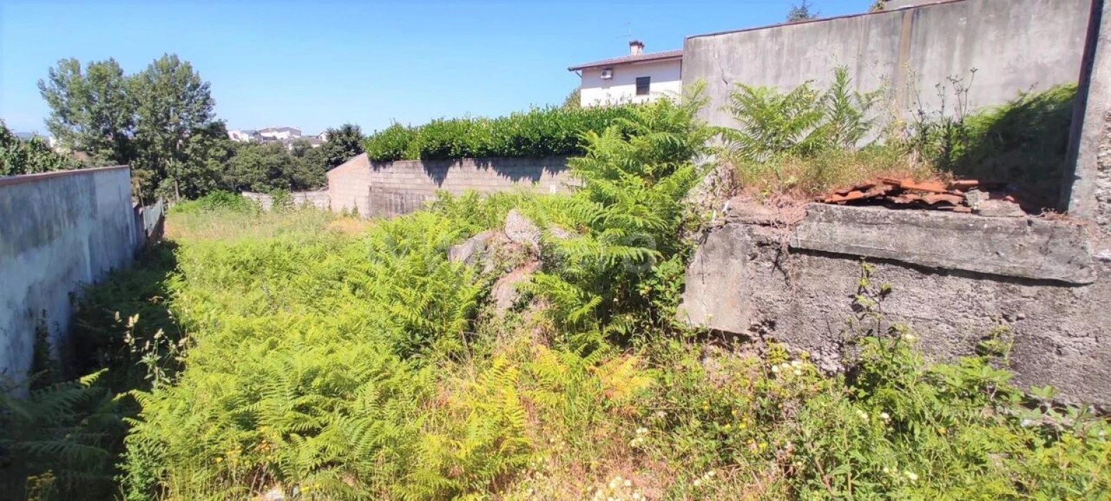 Terreno para Venda em Livração Foto 2