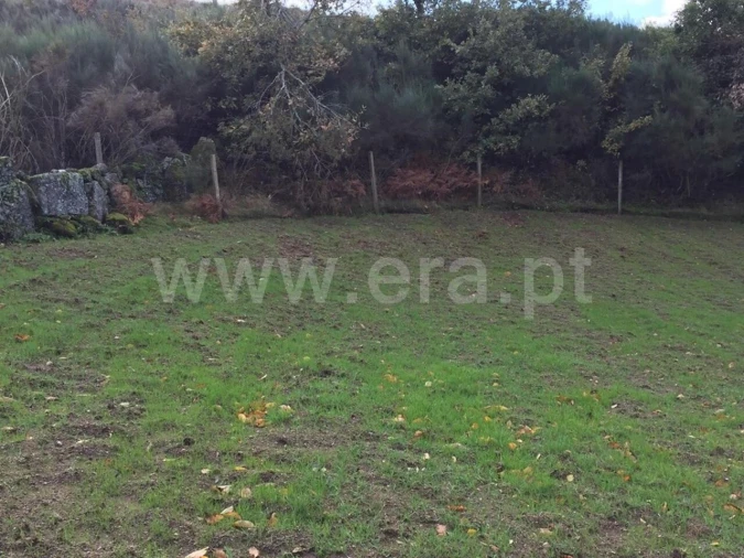 Terreno para Venda em Viariz Foto 5