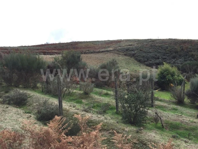 Terreno para Venda em Viariz Foto 4