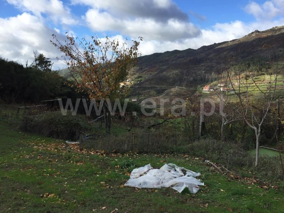 Terreno para Venda em Viariz Foto 2