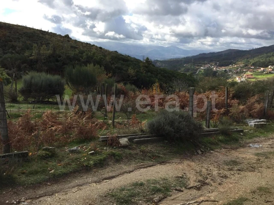 Terreno para Venda em Viariz Foto 3