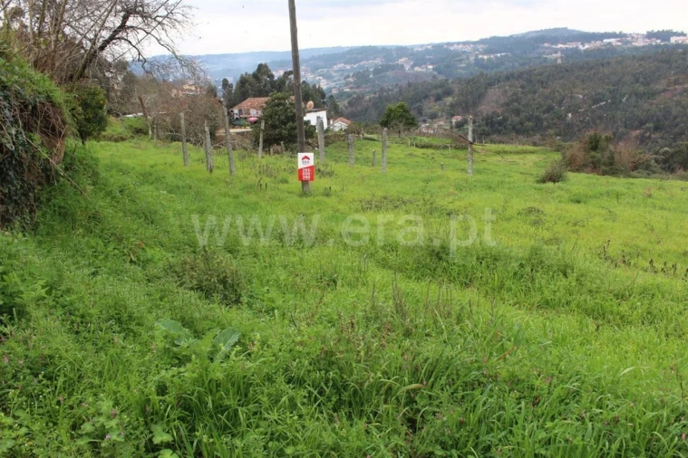 Terreno para Venda em Souselo Foto 3