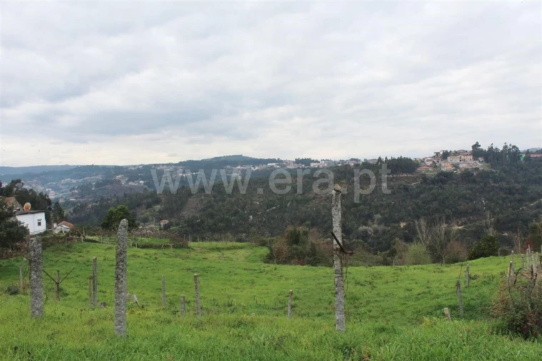 Terreno para Venda em Souselo Foto 2