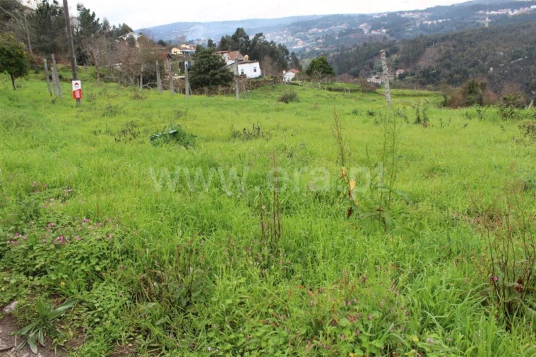 Terreno para Venda em Souselo Foto 4