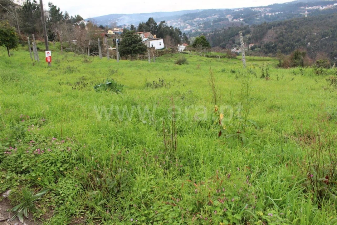 Terreno para Venda em Souselo Foto 4