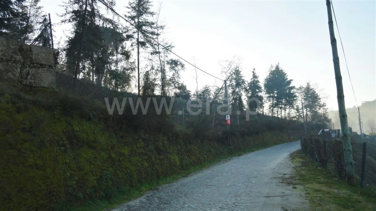 Terreno para Venda em Marco Foto 5