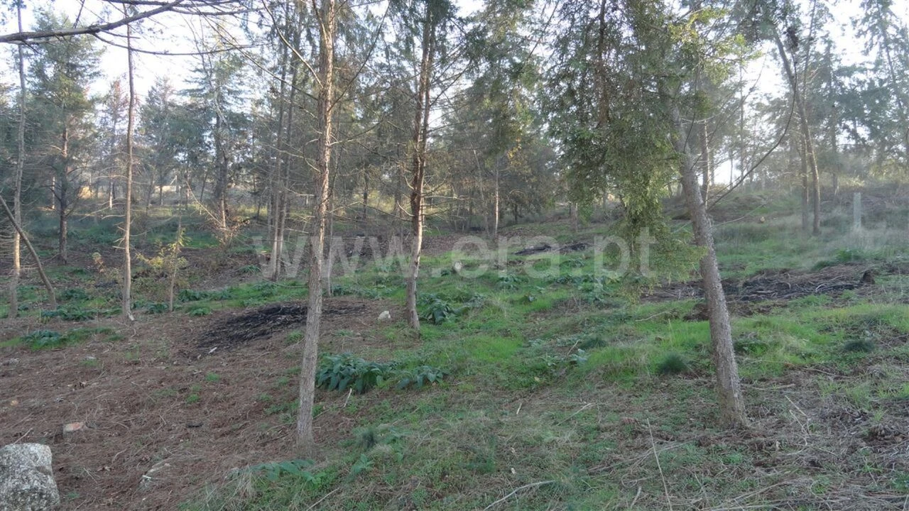 Terreno para Venda em Marco Foto 2