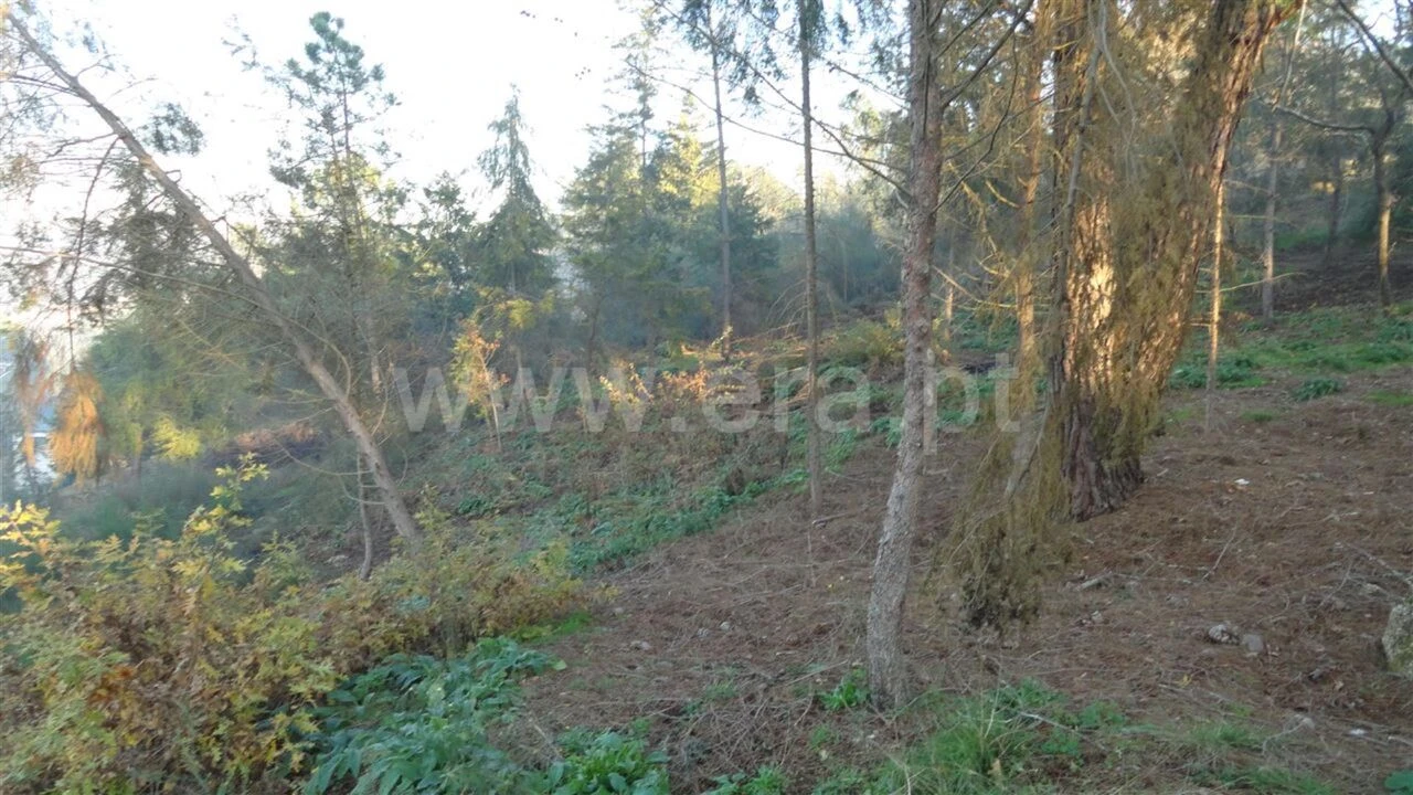 Terreno para Venda em Marco Foto 3