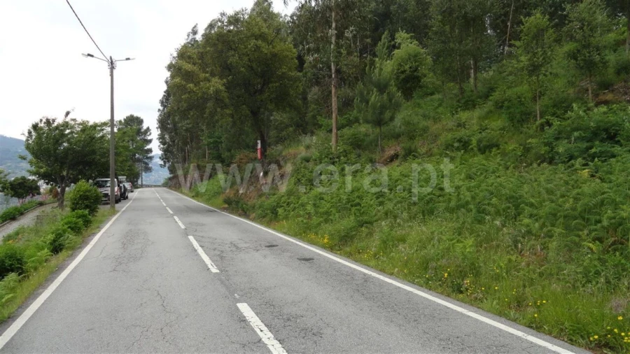 Terreno para Venda em Souselo Foto 1