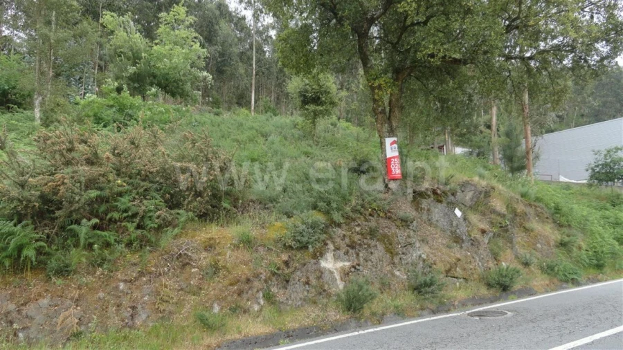 Terreno para Venda em Souselo Foto 7