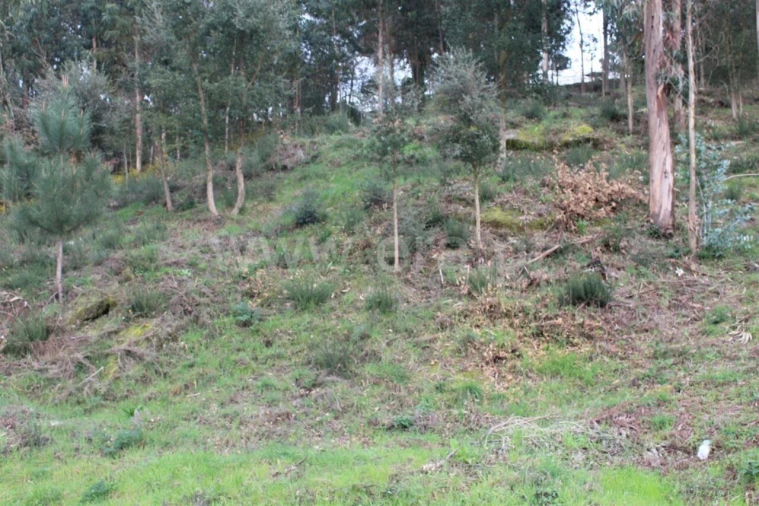 Terreno para Venda em Souselo Foto 3