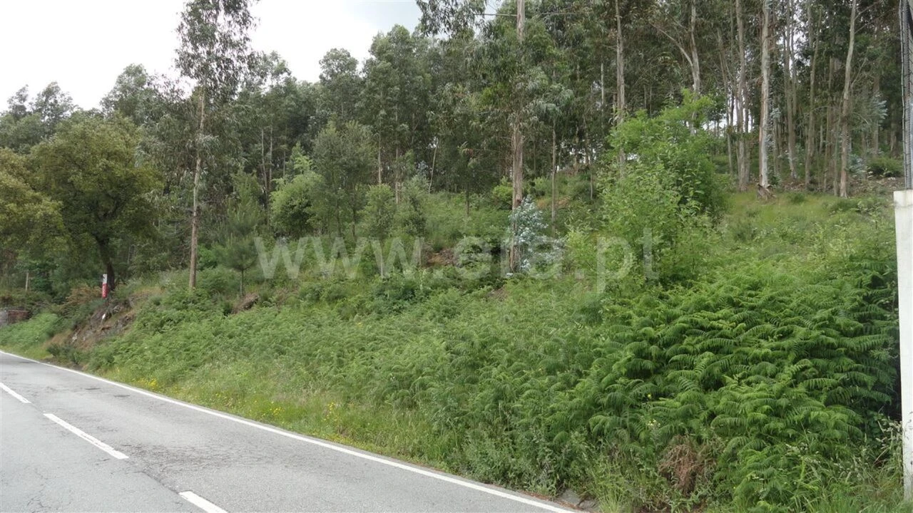 Terreno para Venda em Souselo Foto 6