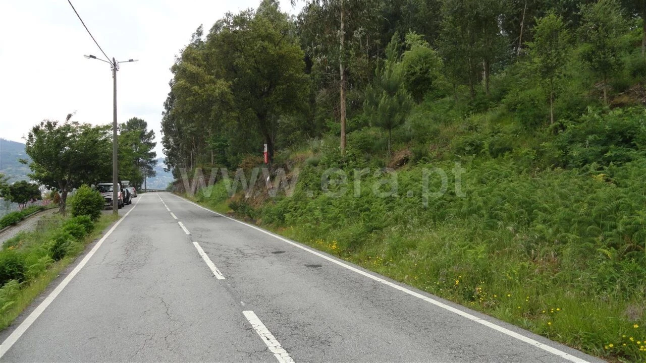 Terreno para Venda em Souselo Foto 1