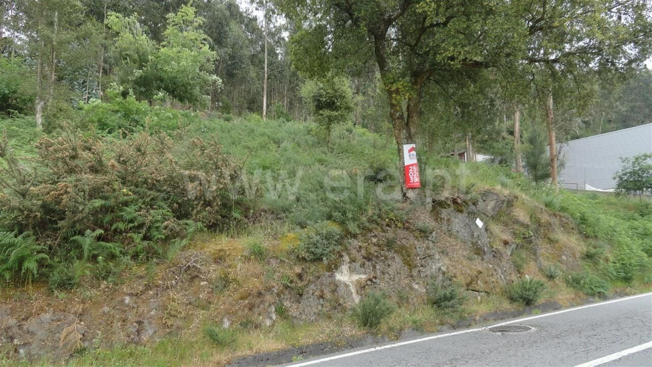 Terreno para Venda em Souselo Foto 7