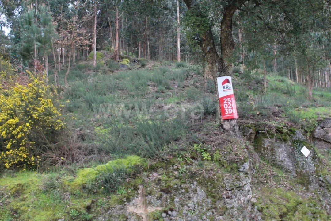 Terreno para Venda em Souselo Foto 2