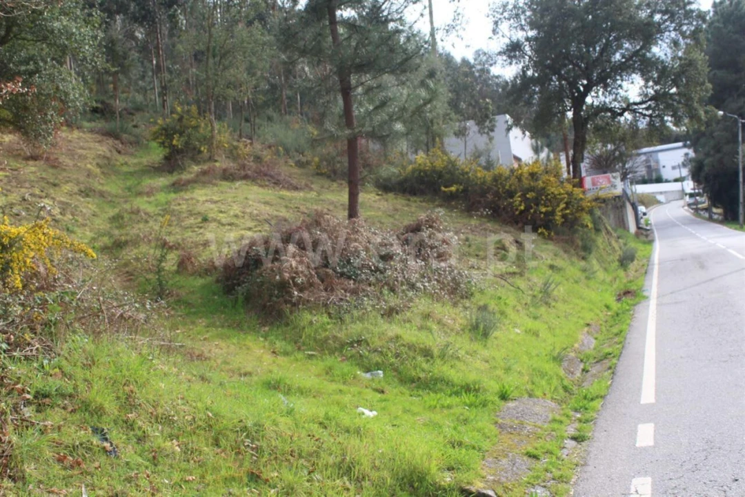 Terreno para Venda em Souselo Foto 4