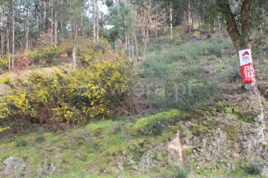 Terreno para Venda em Souselo Foto 5