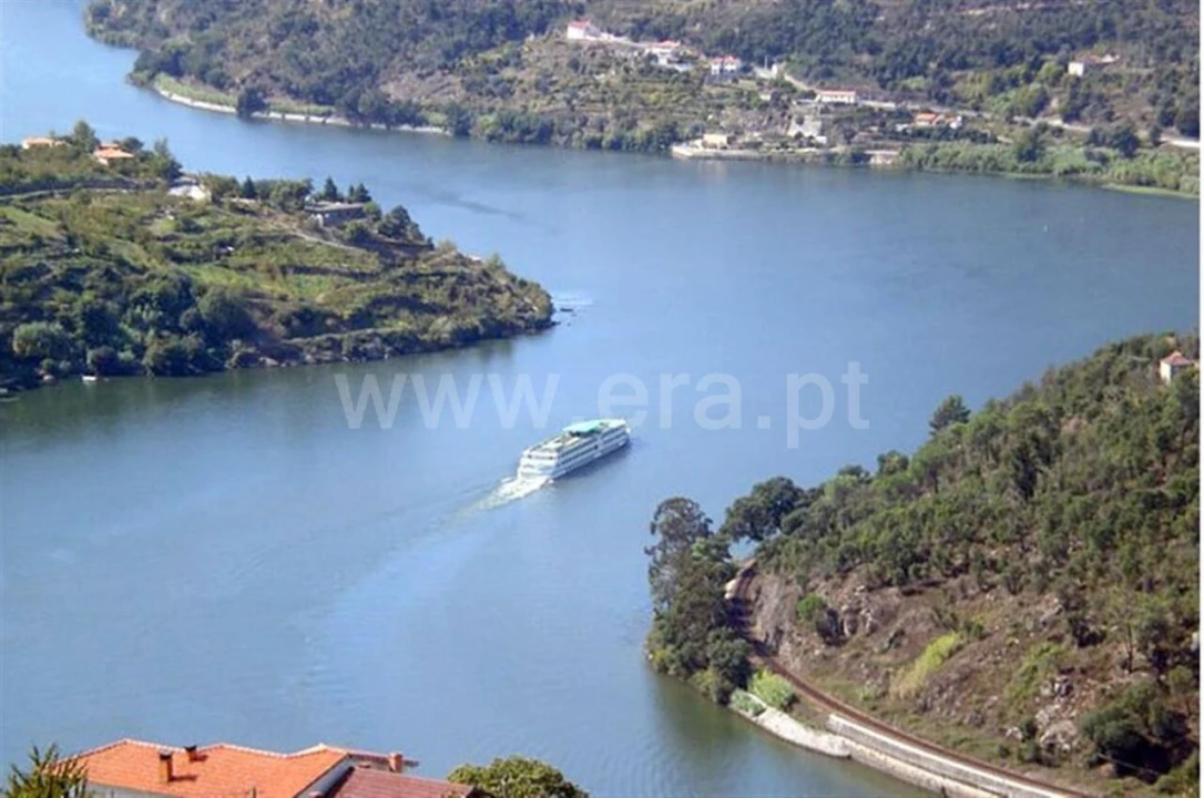 Negócio para Venda em Oliveira do Douro Foto 2
