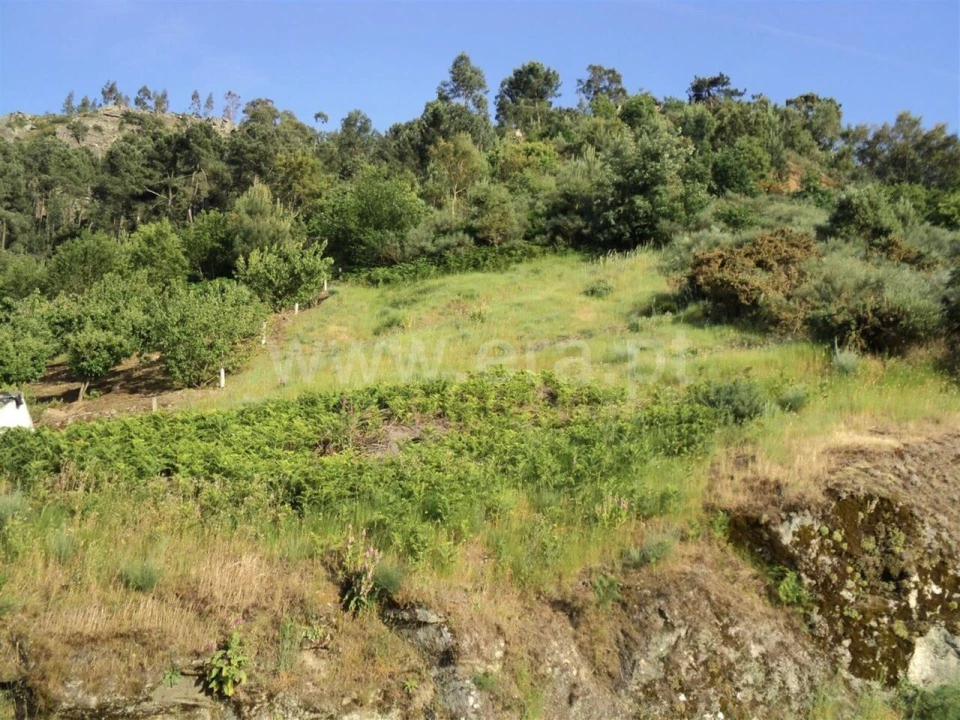 Terreno para Venda em São Martinho de Mouros Foto 6