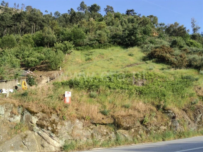 Terreno para Venda em São Martinho de Mouros Foto 5