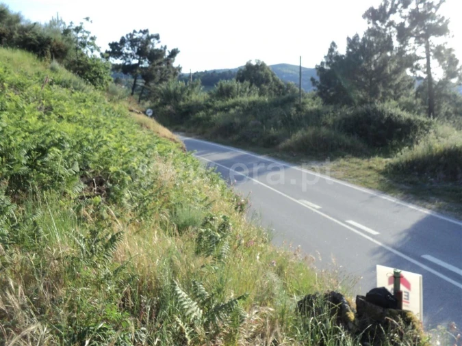 Terreno para Venda em São Martinho de Mouros Foto 3