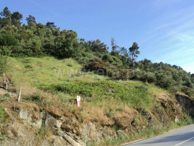 Terreno para Venda em São Martinho de Mouros Foto 4