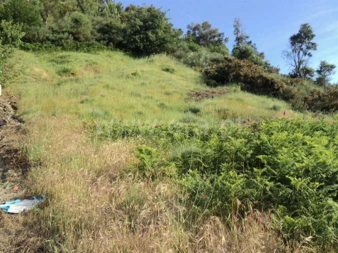 Terreno para Venda em São Martinho de Mouros Foto 2