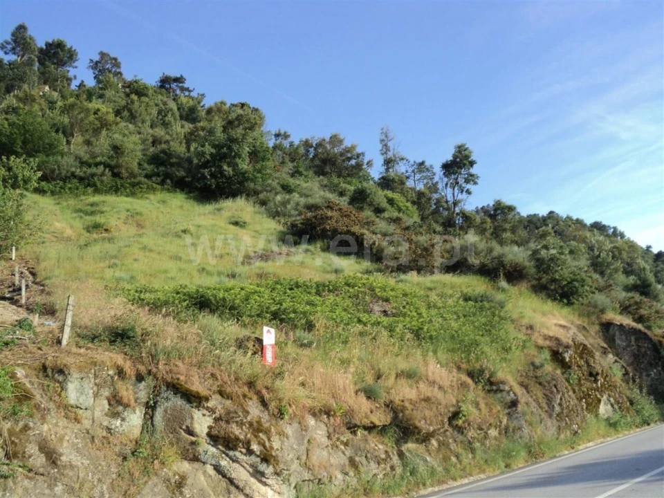 Terreno para Venda em São Martinho de Mouros Foto 4