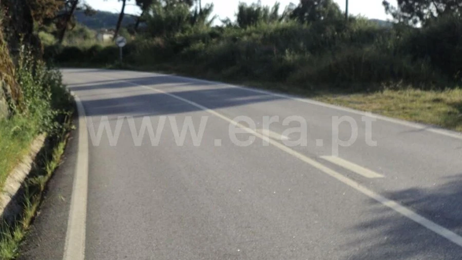 Terreno para Venda em São Martinho de Mouros
