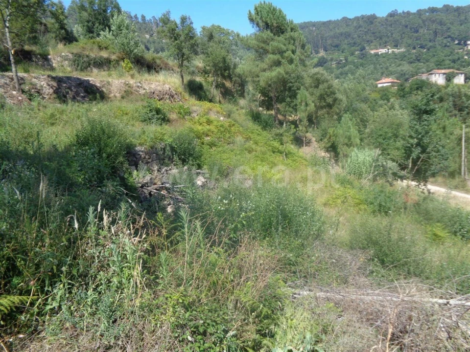 Terreno para Venda em Penhalonga e Paços de Gaiolo Foto 4