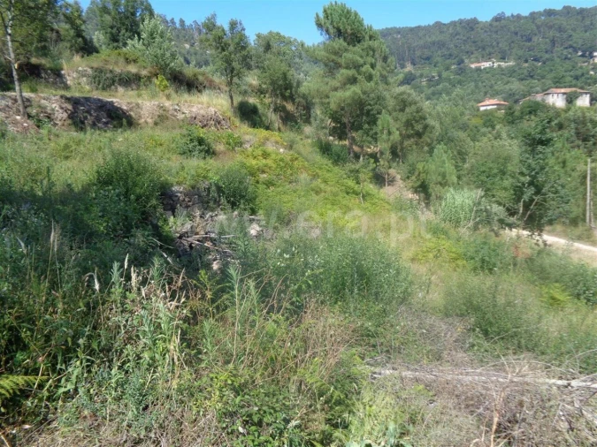 Terreno para Venda em Penhalonga e Paços de Gaiolo Foto 4