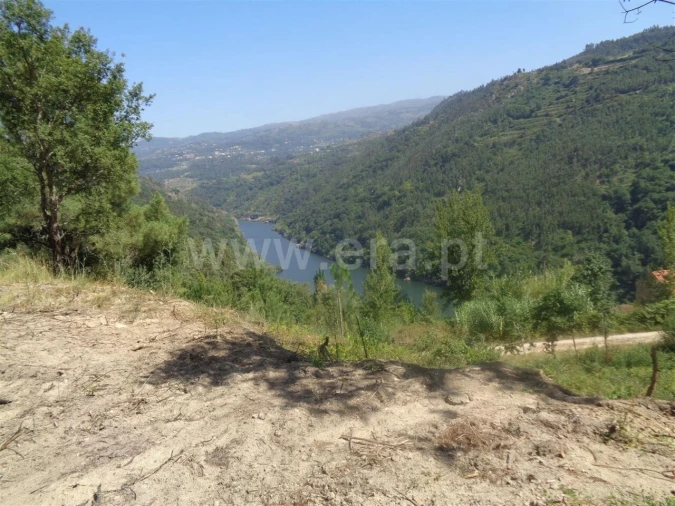 Terreno para Venda em Penhalonga e Paços de Gaiolo Foto 6