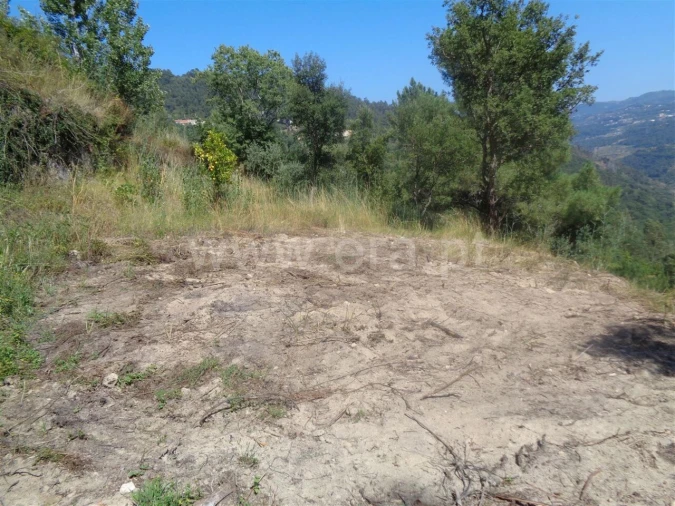 Terreno para Venda em Penhalonga e Paços de Gaiolo Foto 7