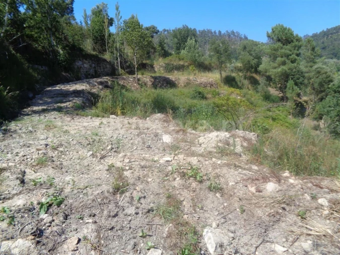 Terreno para Venda em Penhalonga e Paços de Gaiolo Foto 3