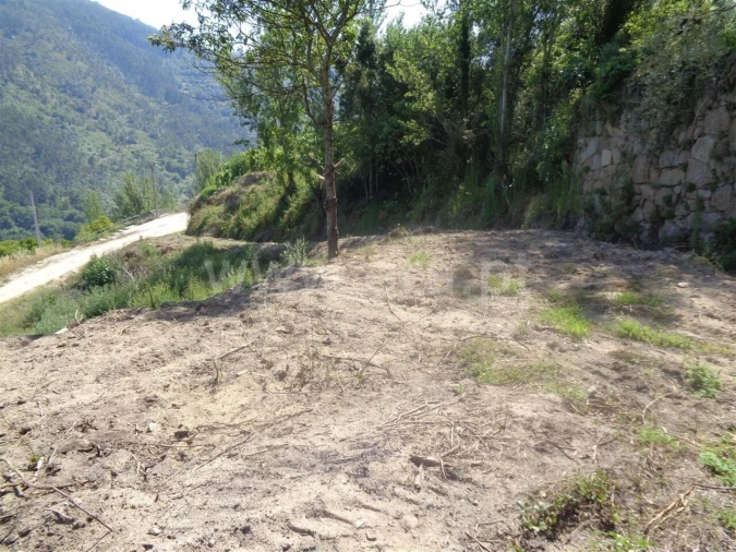 Terreno para Venda em Penhalonga e Paços de Gaiolo Foto 8
