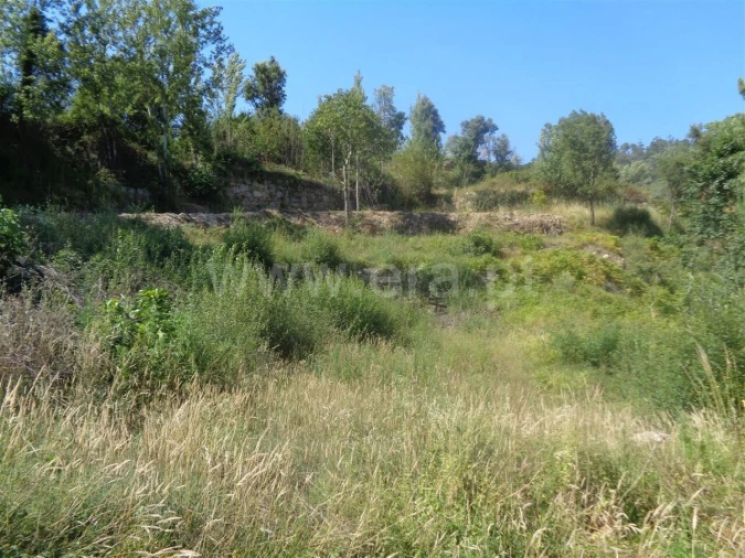 Terreno para Venda em Penhalonga e Paços de Gaiolo Foto 11