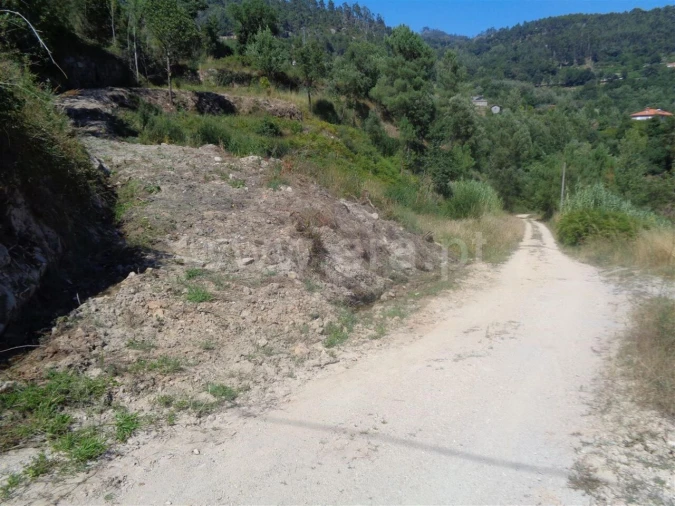 Terreno para Venda em Penhalonga e Paços de Gaiolo Foto 2