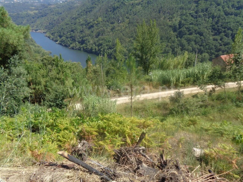 Terreno para Venda em Penhalonga e Paços de Gaiolo Foto 9