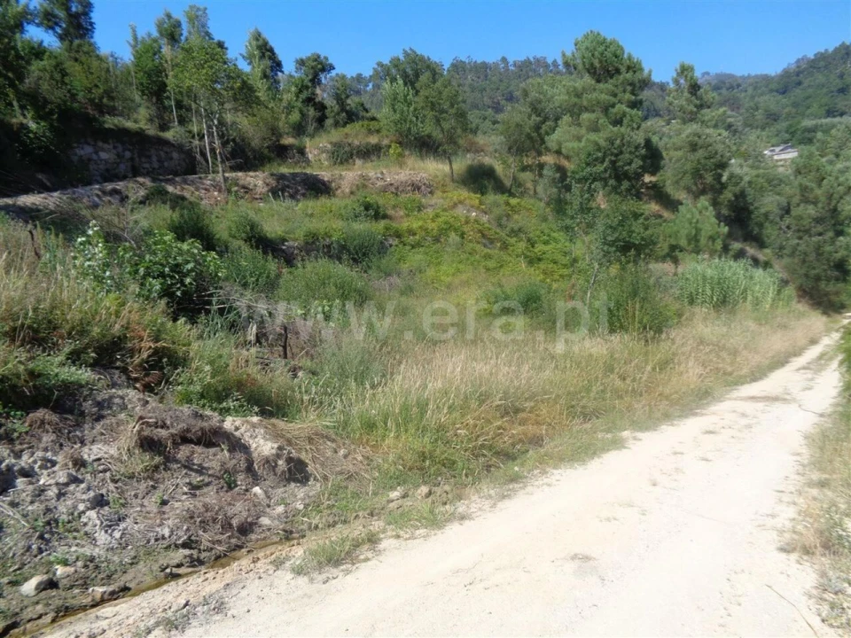 Terreno para Venda em Penhalonga e Paços de Gaiolo Foto 10