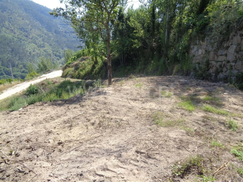 Terreno para Venda em Penhalonga e Paços de Gaiolo Foto 8