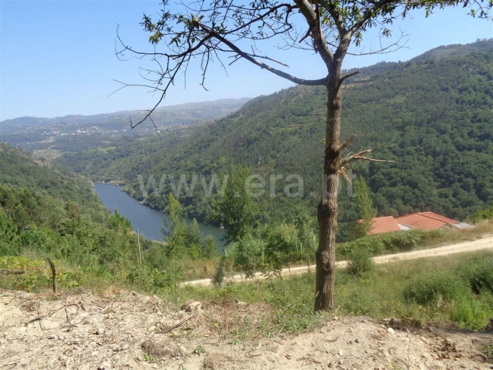 Terreno para Venda em Penhalonga e Paços de Gaiolo Foto 1