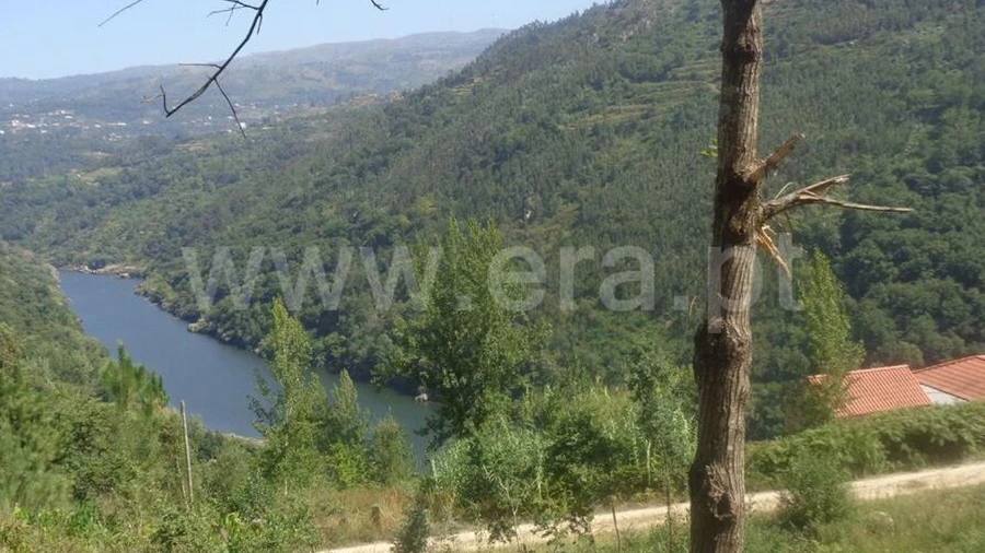 Terreno para Venda em Penhalonga e Paços de Gaiolo