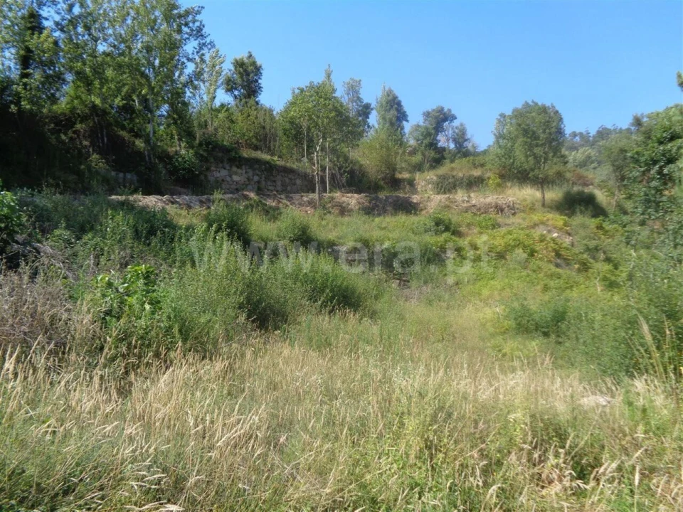 Terreno para Venda em Penhalonga e Paços de Gaiolo Foto 11