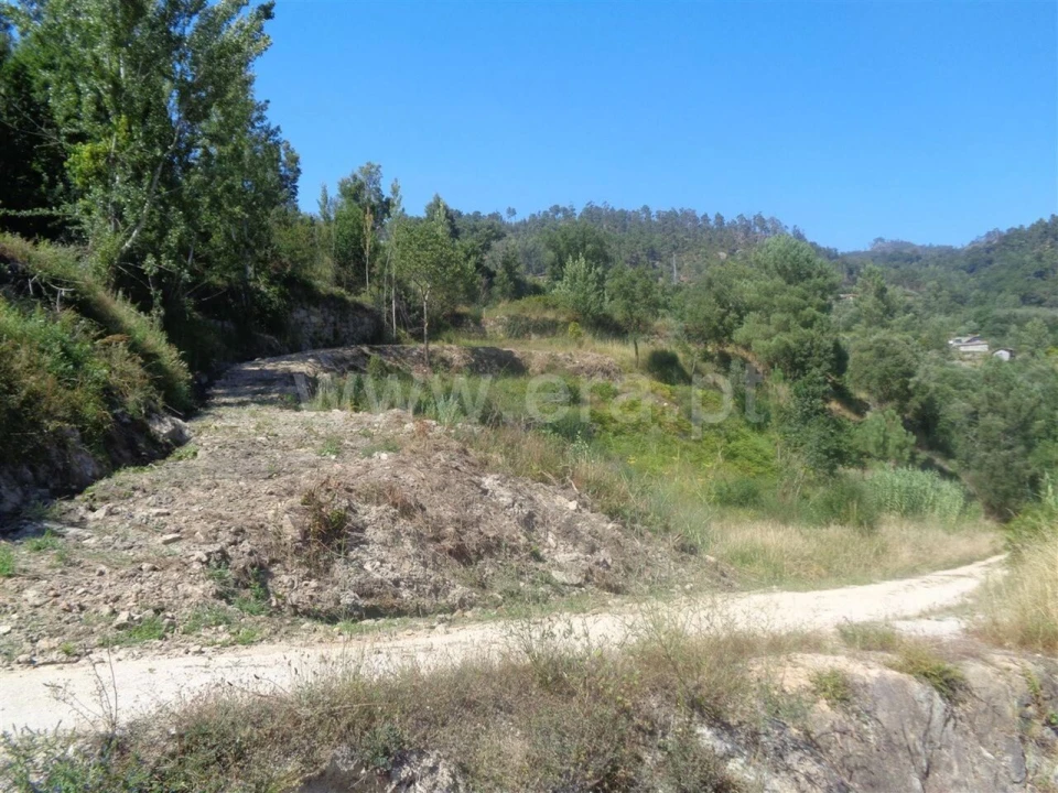 Terreno para Venda em Penhalonga e Paços de Gaiolo Foto 12