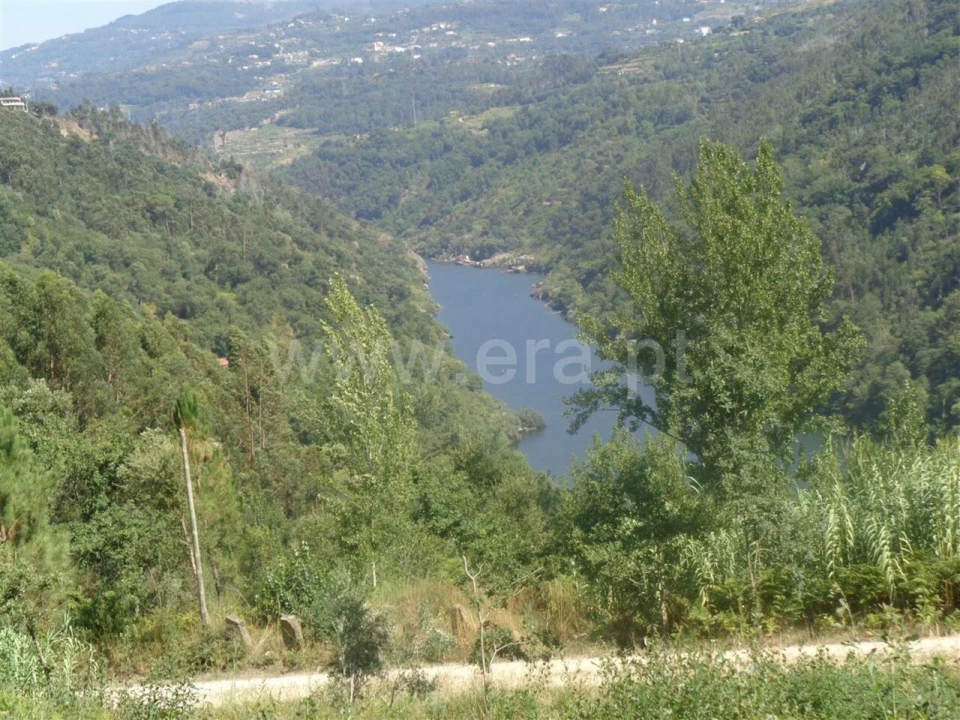 Terreno para Venda em Penhalonga e Paços de Gaiolo Foto 5